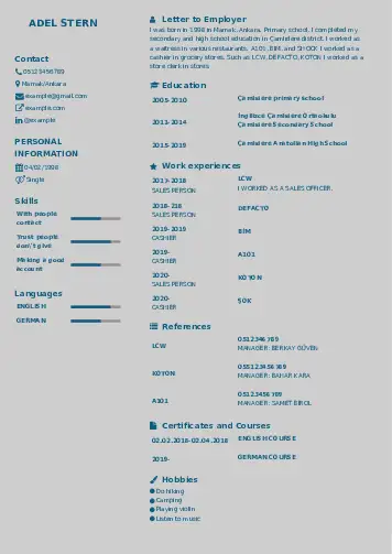 Self Employed resume example